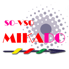 Workshop bij VSO Mikado